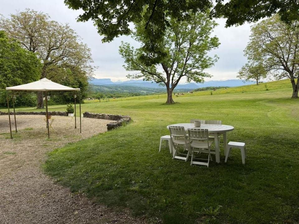 Château de Savigny - Suite Eau Bed and Breakfast in Haute-Savoie