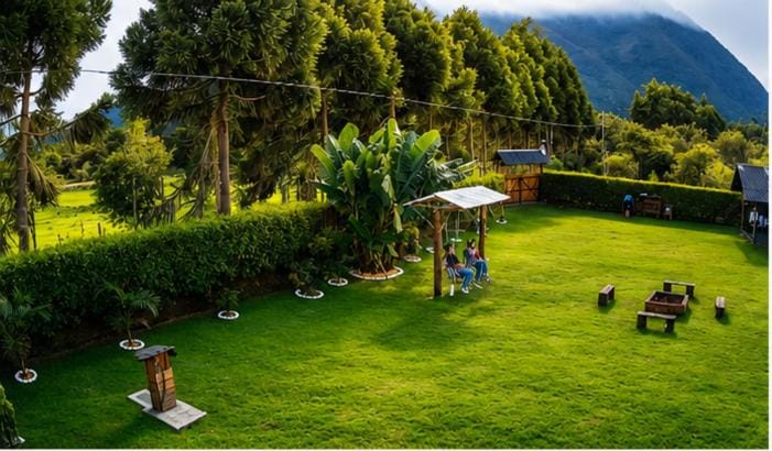 Garden view