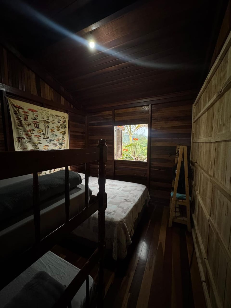 Chalé ninho dos Esquilos House in Resende