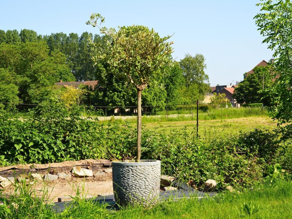 Patio, Garden, View (from property/room), Garden view