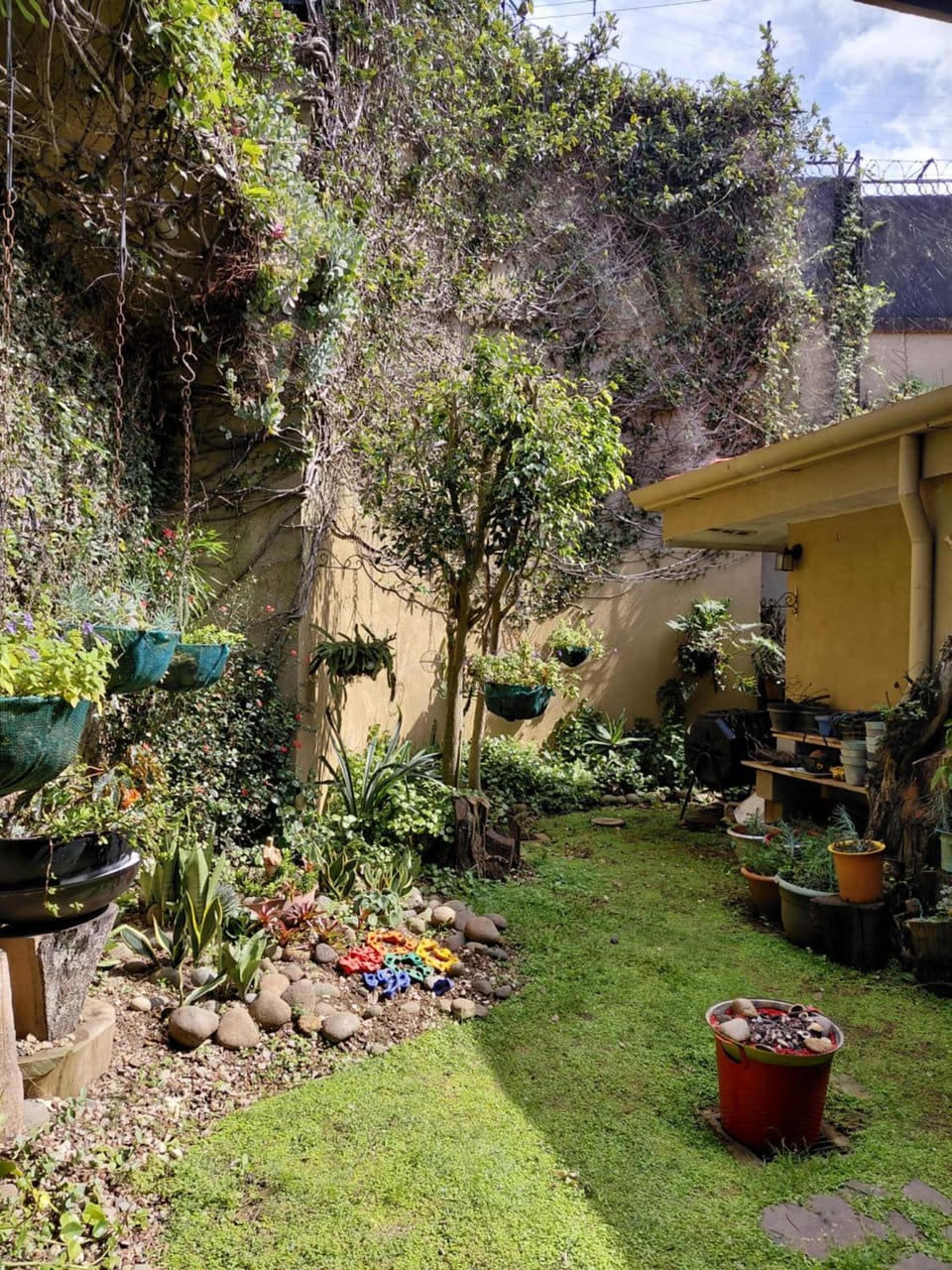 Condominio San Remo Bed and Breakfast in San Jose