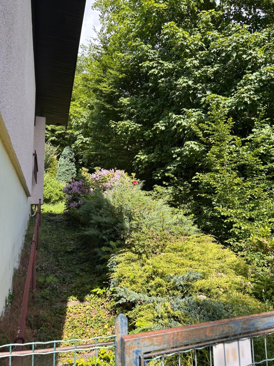 Mon désir Apartment in Vosges