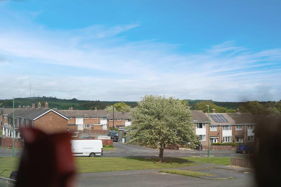 Property building, Spring, Day, Neighbourhood, Natural landscape, Street view