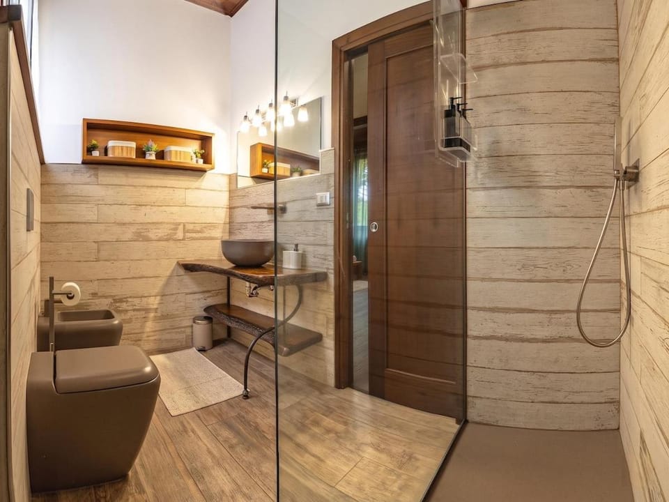 Shower, Toilet, Bathroom, bidet
