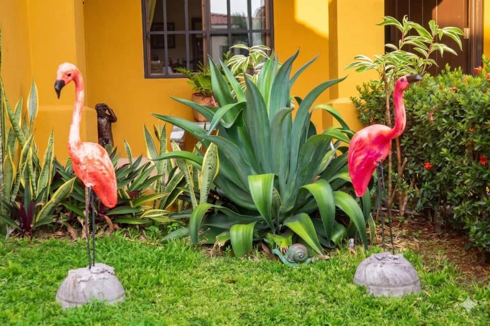 Tamarindo Village House in Panama