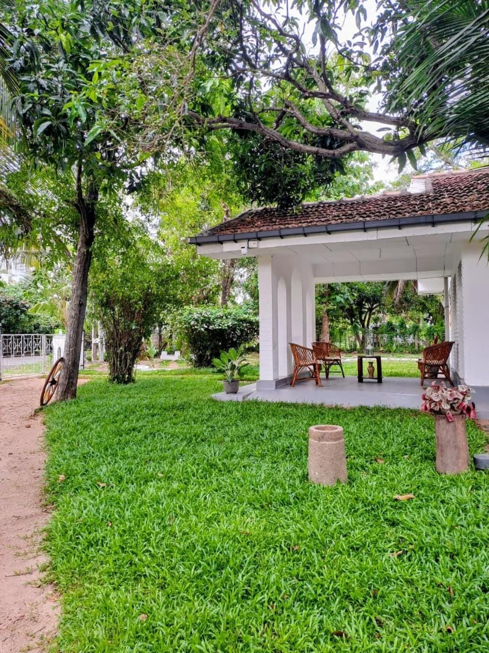 Property building, Day, Natural landscape, Garden, Garden view
