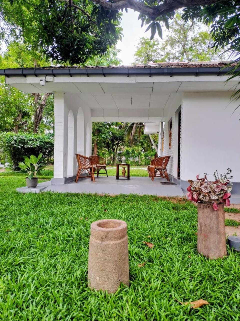 Property building, Patio, Day, Natural landscape, Garden, Garden view