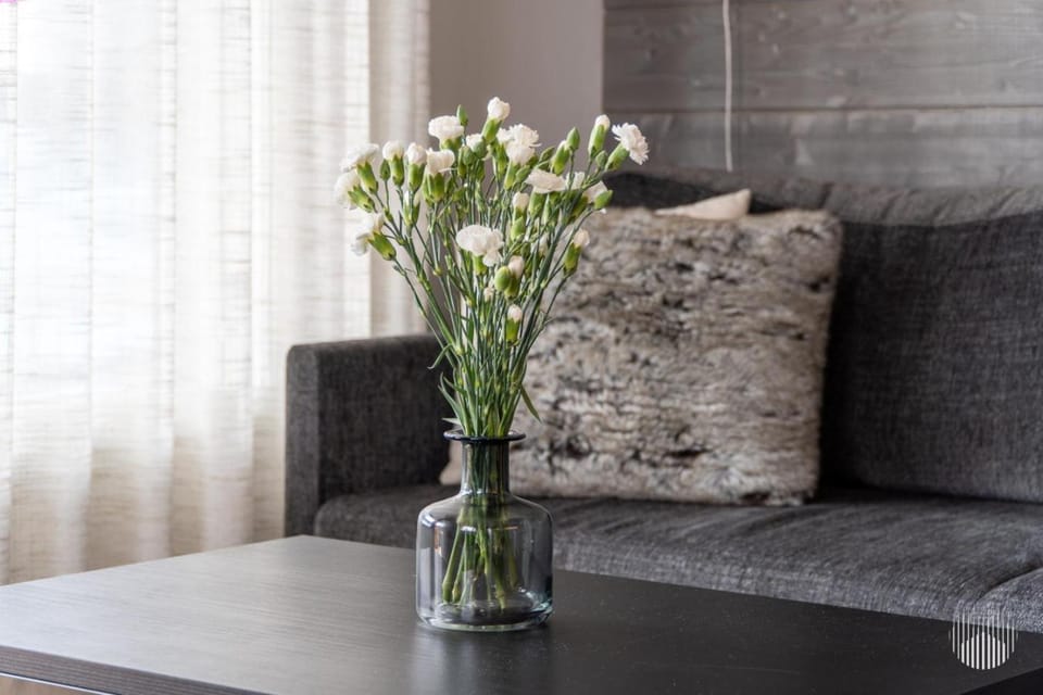 Polar Charm F by Holiday in Lapland Apartment in Lapland