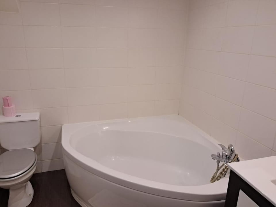 Charme de l'ancien remis à neuf Apartment in Tours
