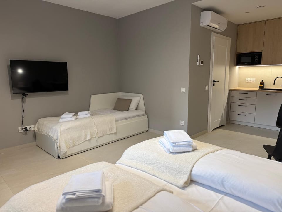 Bed, TV and multimedia, Balcony/Terrace, Living room, Photo of the whole room, Decorative detail, Street view, Area and facilities, Meals, air conditioner