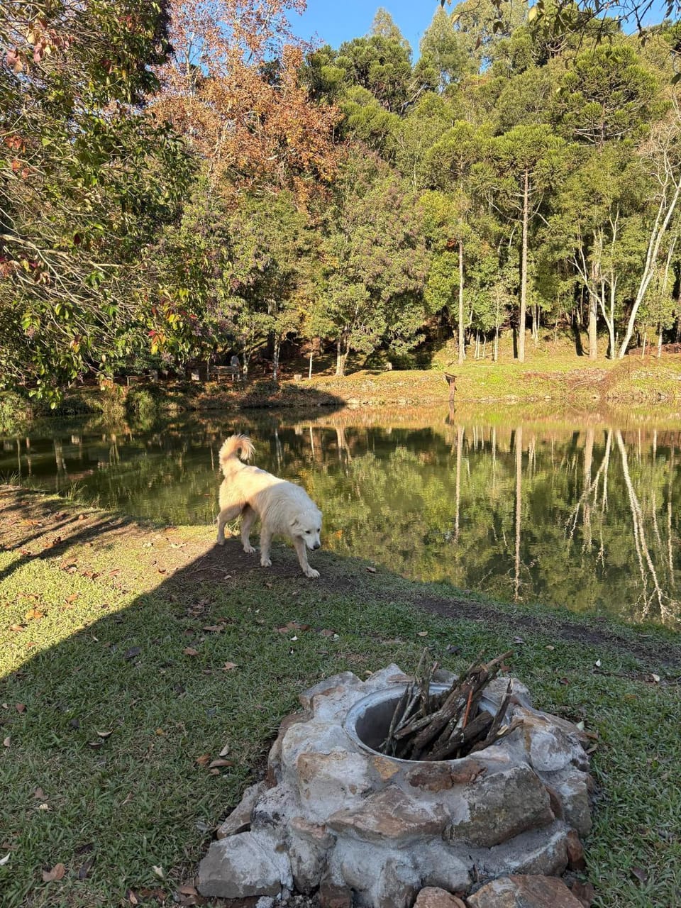Chalé Do Lago Nature lodge in State of Santa Catarina