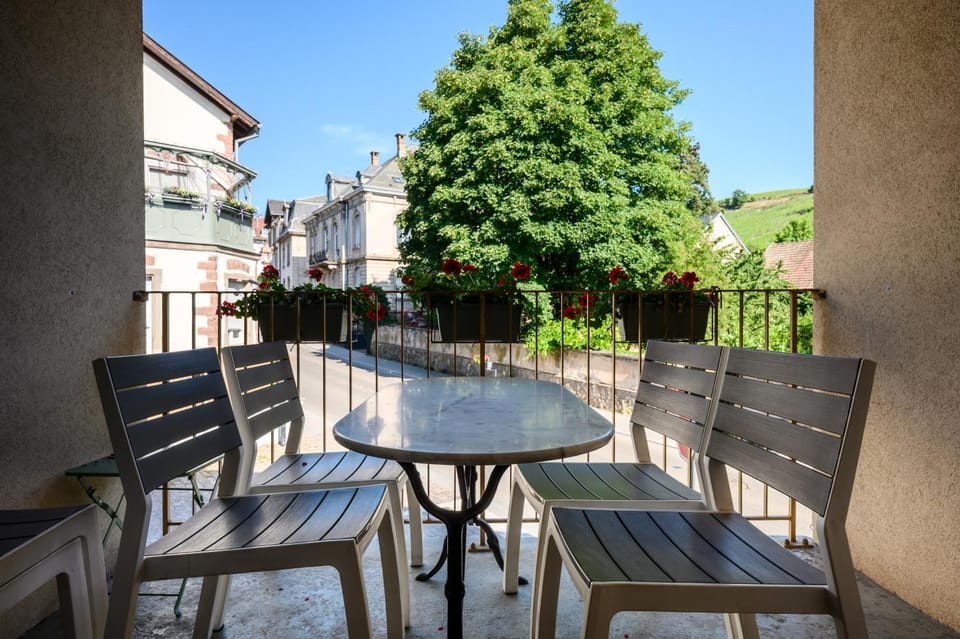 Chez Romane Apartment in Grand Est