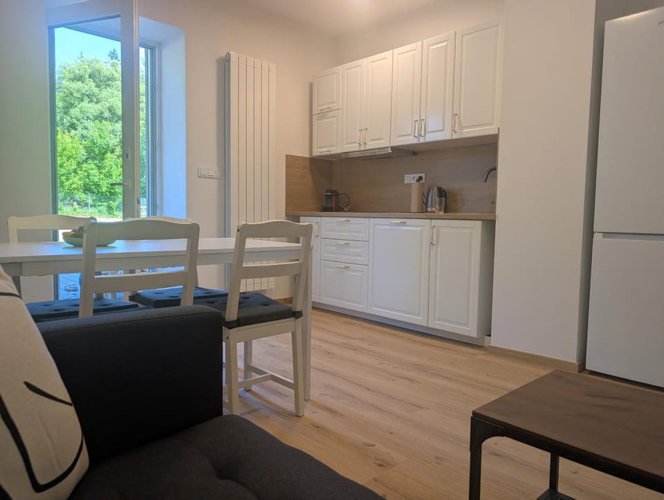 Kitchen or kitchenette, Dining area, stove