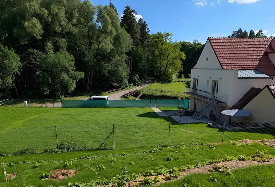 Garden view