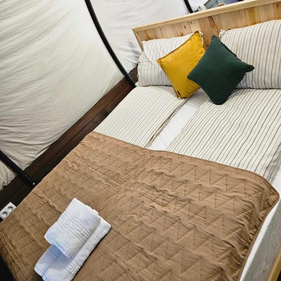 Bed, Photo of the whole room, Bedroom, towels