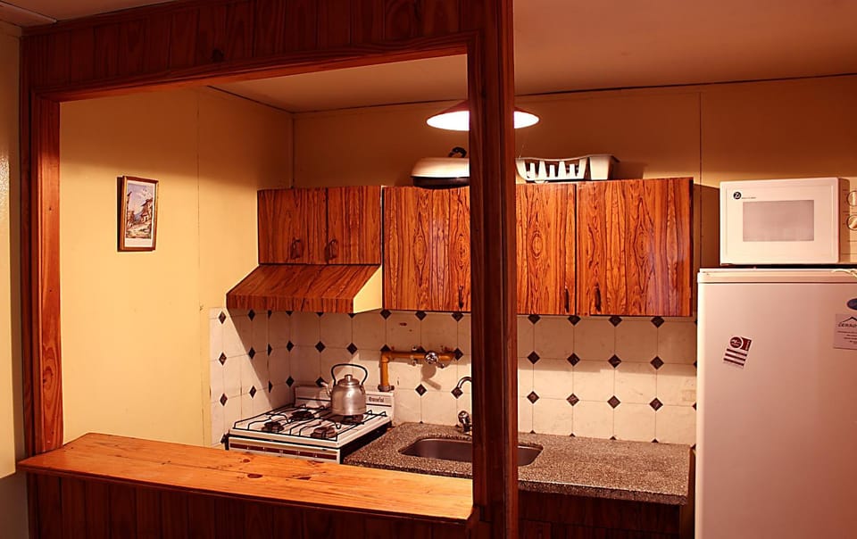 Kitchen or kitchenette, pet friendly