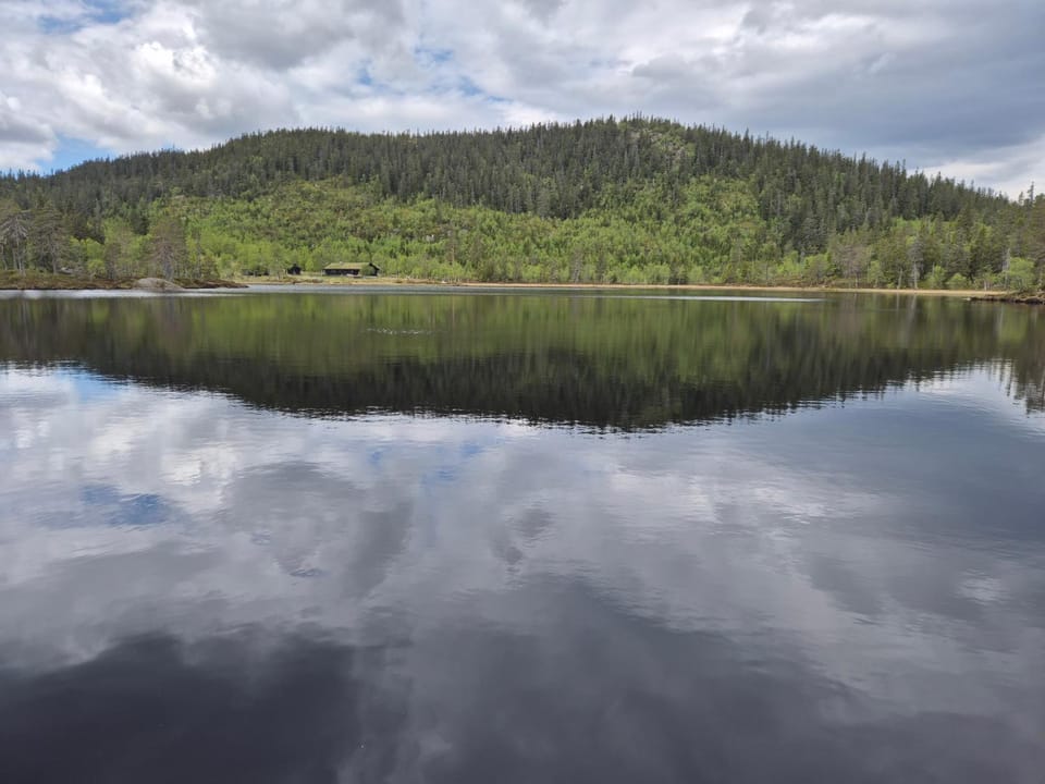 Hytte med stor terasse i flotte naturomgivelser Nature lodge in Viken, Norway