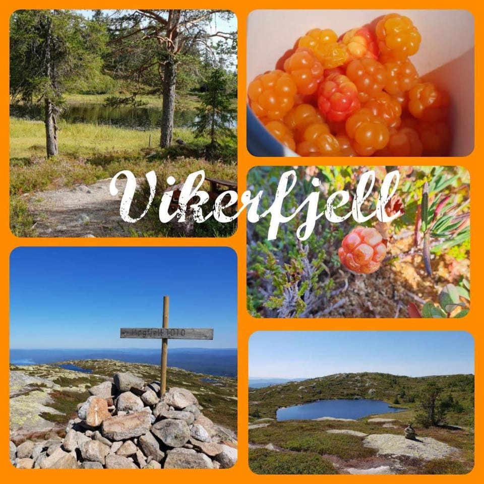 Hytte med stor terasse i flotte naturomgivelser Nature lodge in Viken, Norway