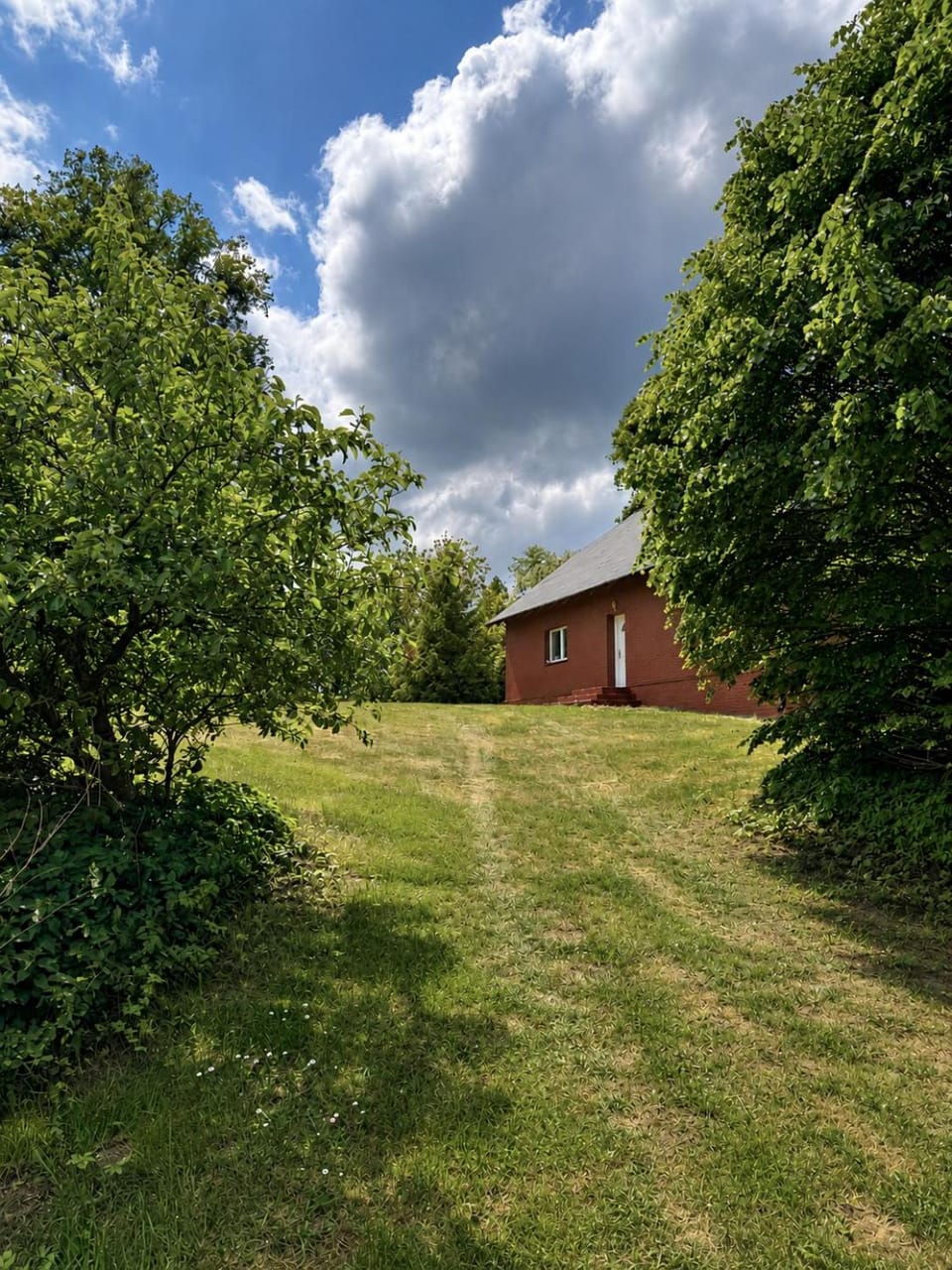 View (from property/room), Garden view