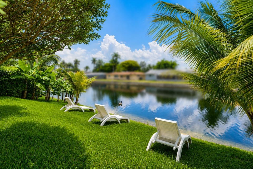 Day, Natural landscape, Fishing, River view, sunbed