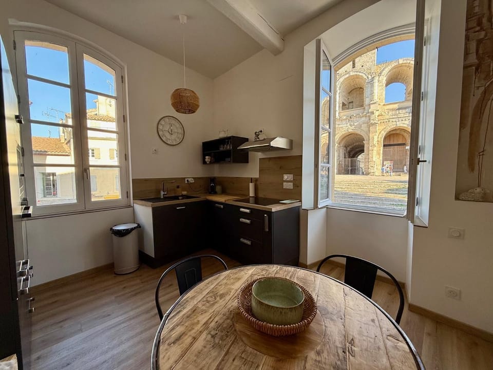 La grande arene Apartment in Arles