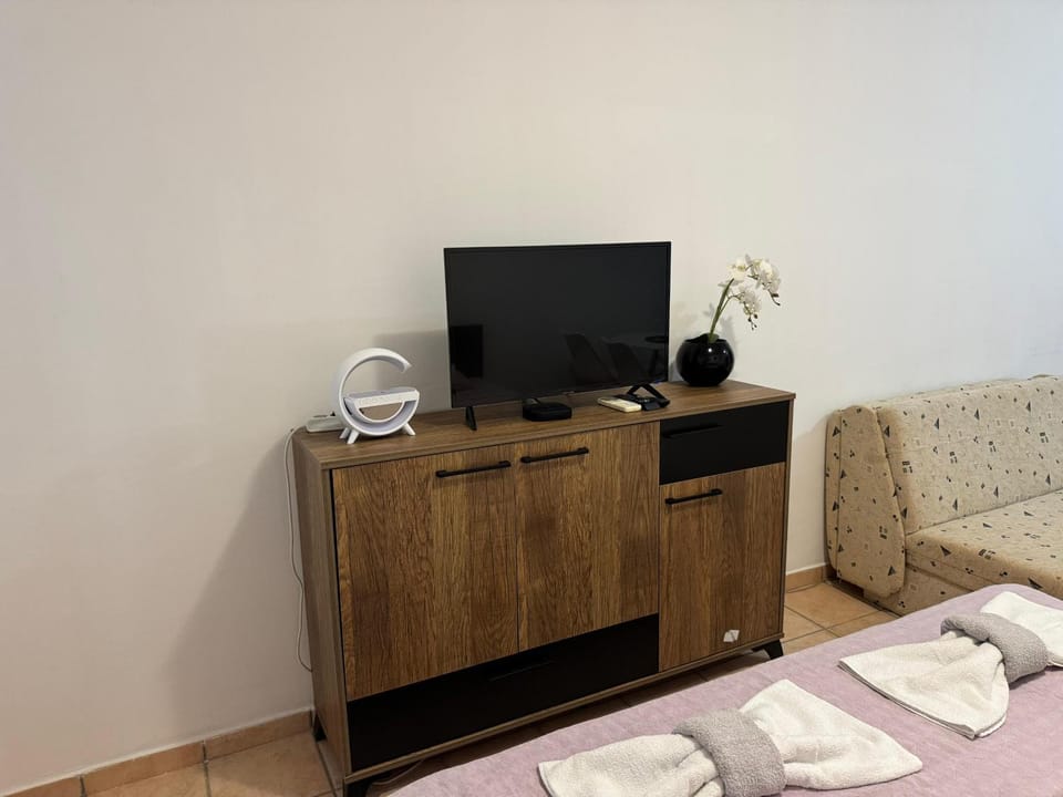 TV and multimedia