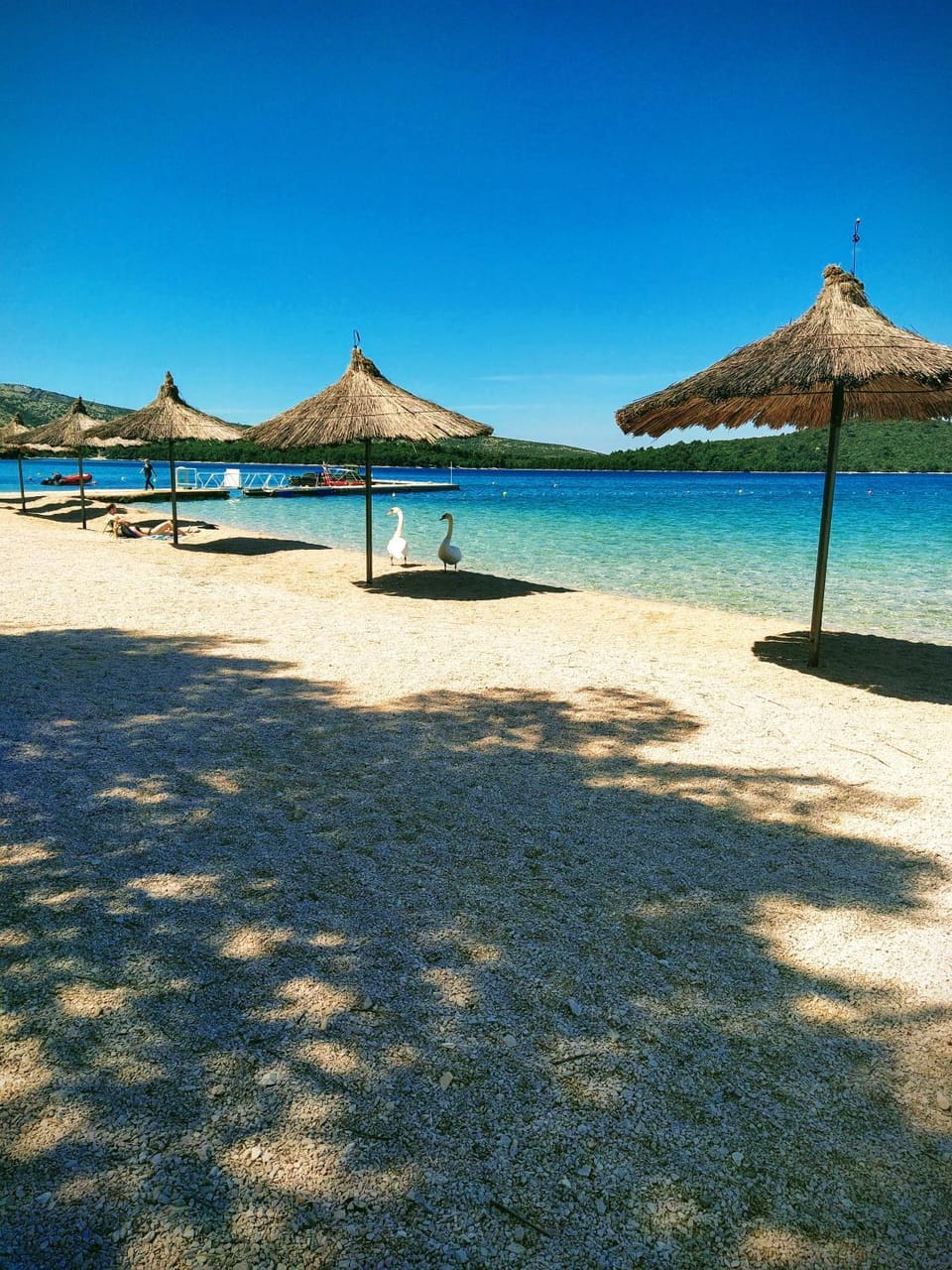 Beach, sunbed