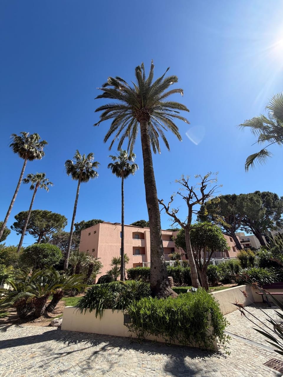 Appartement entre Cannes et Antibes Apartment in Antibes