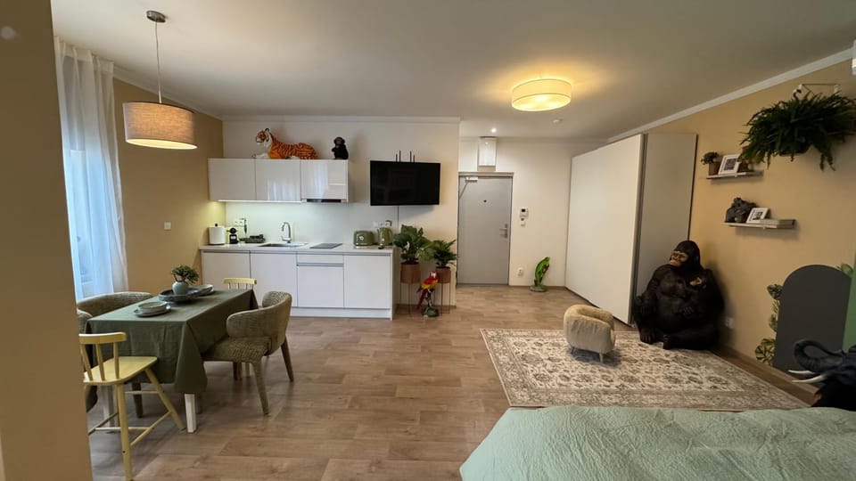 Kitchen or kitchenette, kitchen