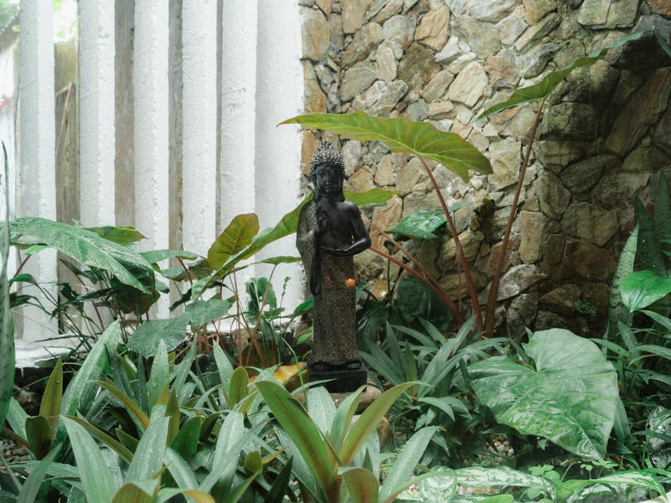 Templo Verde Eco hostal Bed and Breakfast in Minca