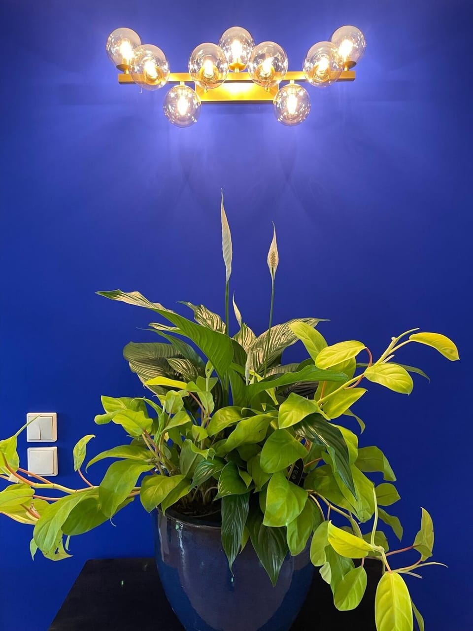 La Grotte Bleue Apartment in Évian-les-Bains