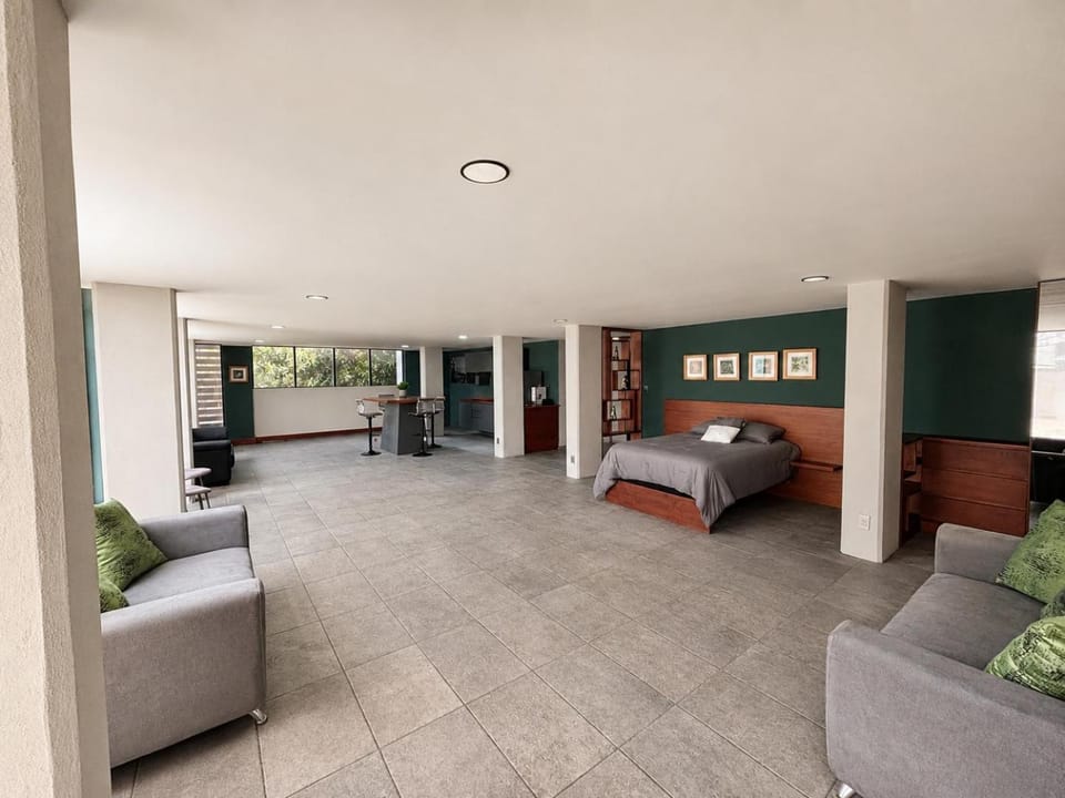 Bed, Living room, Photo of the whole room, Bedroom