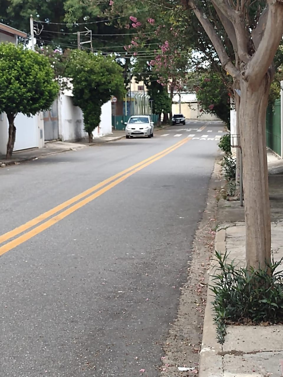 Quiet street view