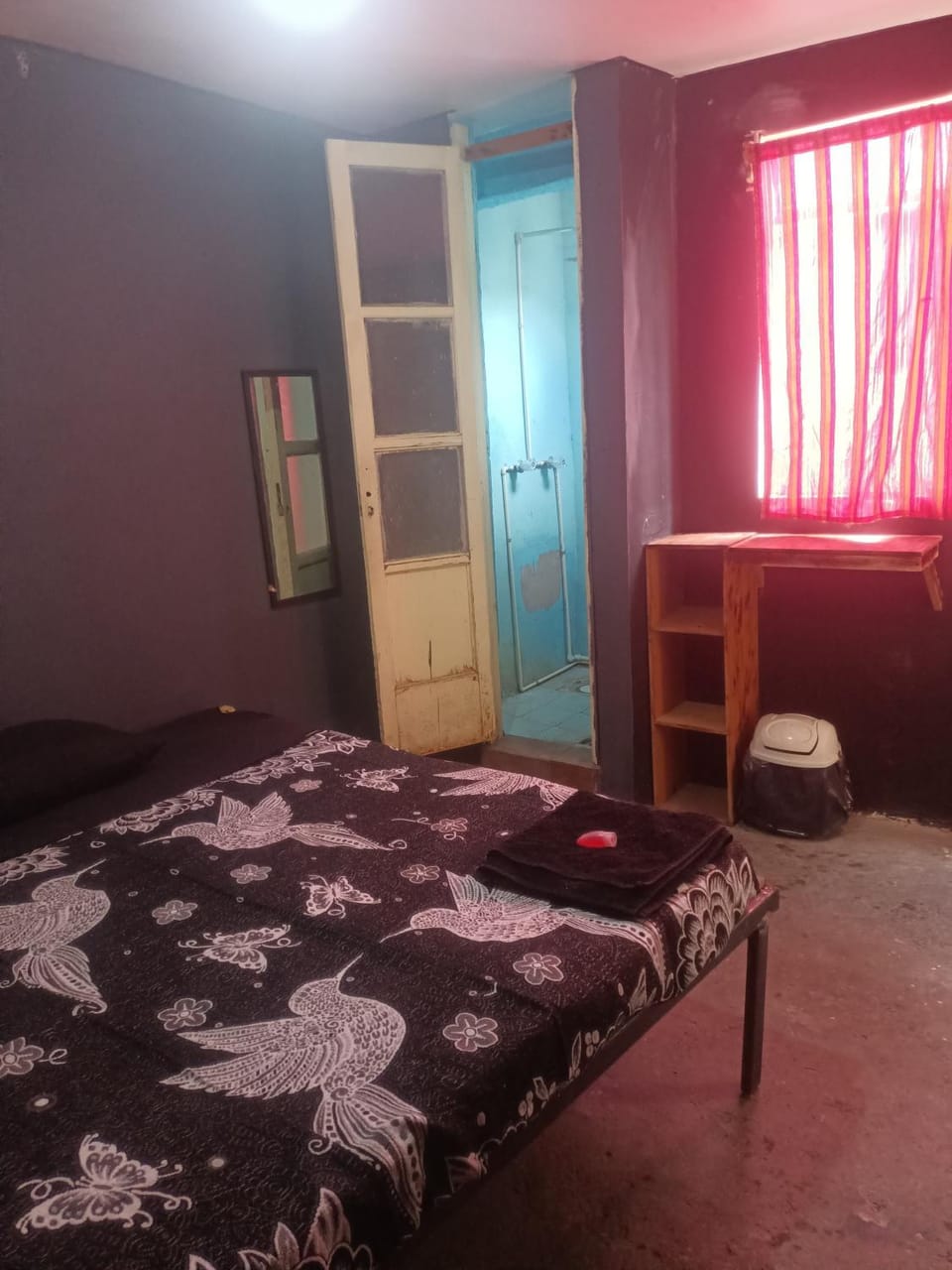 La terrza Apartment in Mexico City