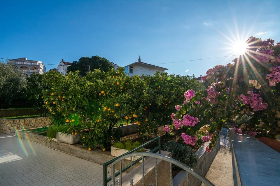 Garden, Garden view