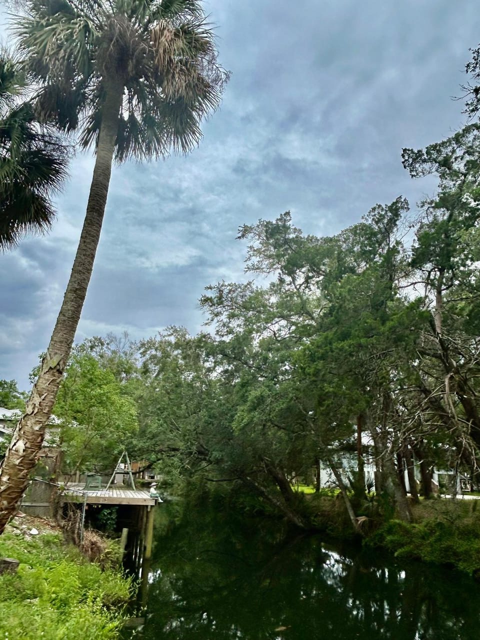 Natures Nest #2 House in Florida