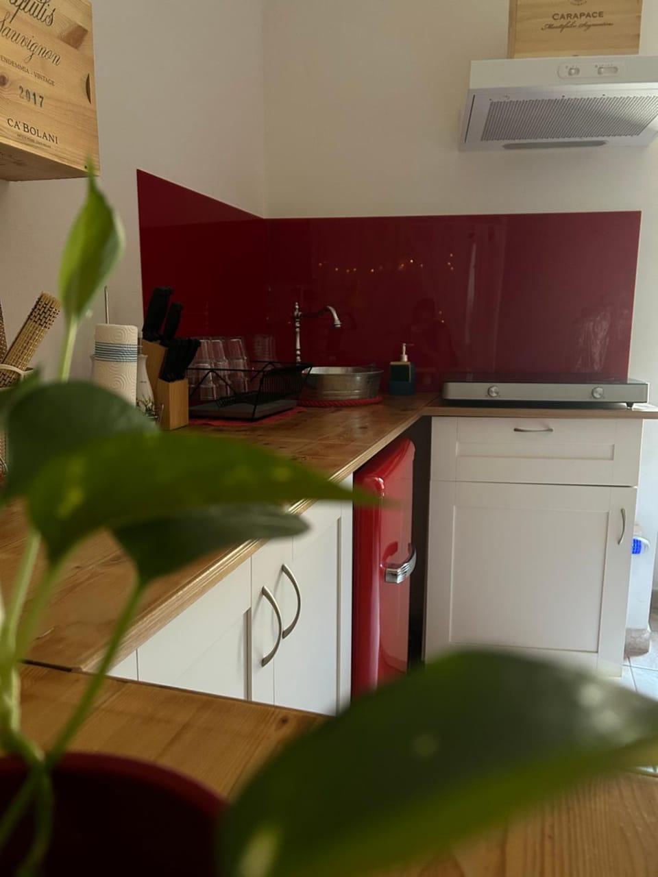 Casa Rossa Apartment in Umbria