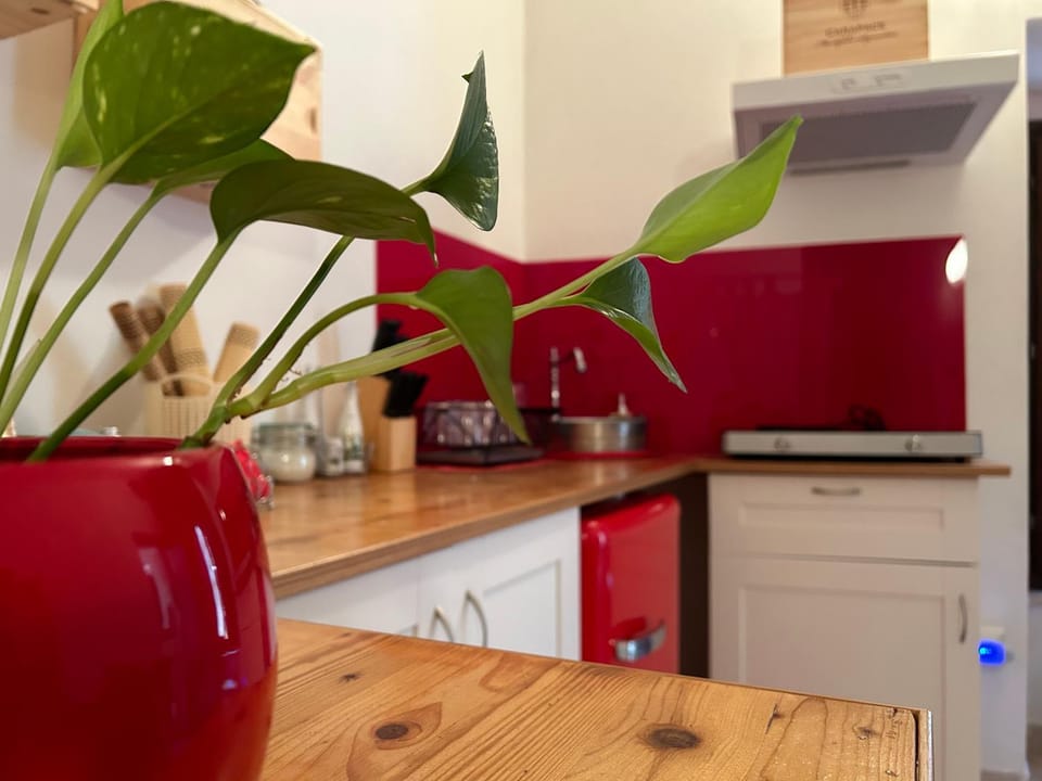 Casa Rossa Apartment in Umbria
