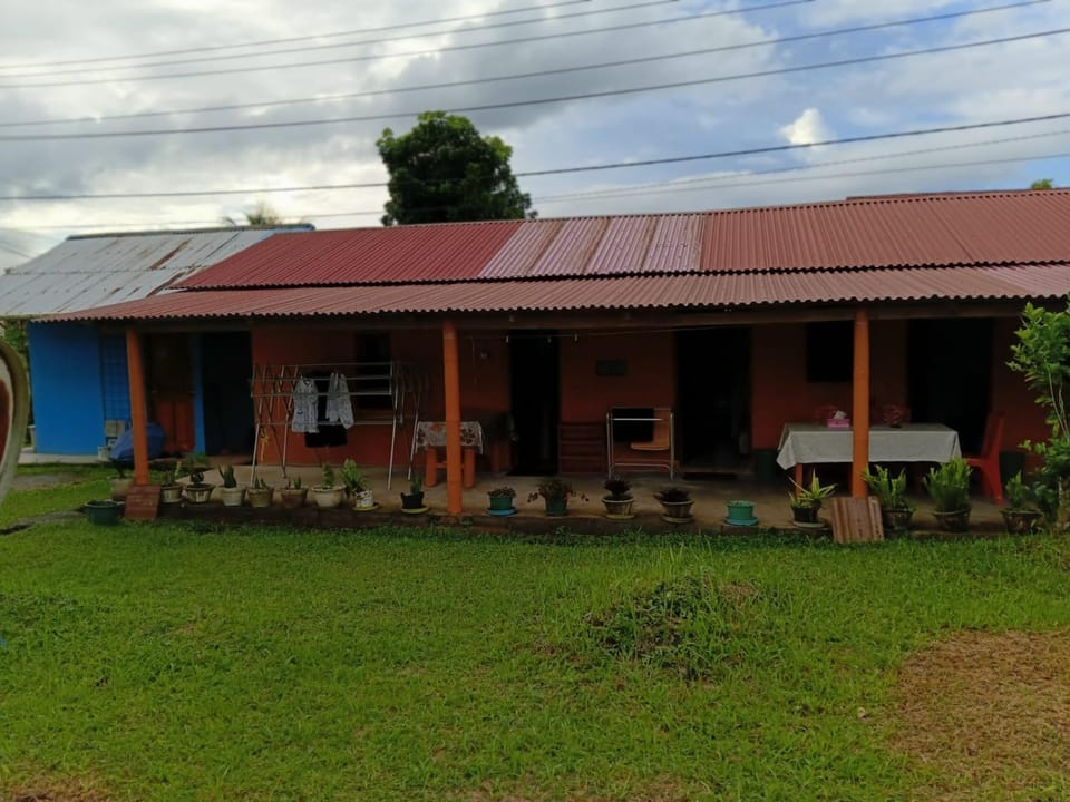 Property building, Day, Garden, Garden view