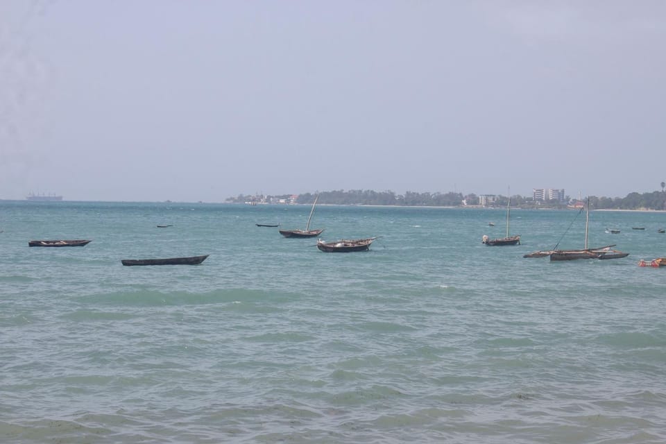 Sea View Beach Hotel Hotel in Tanzania