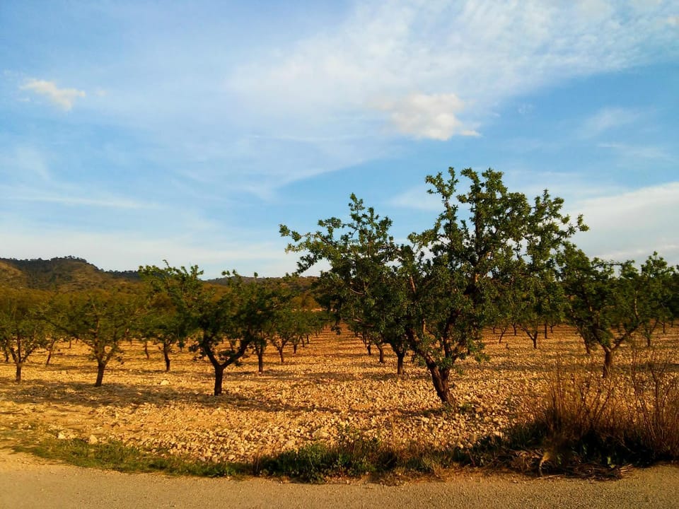 Natural landscape