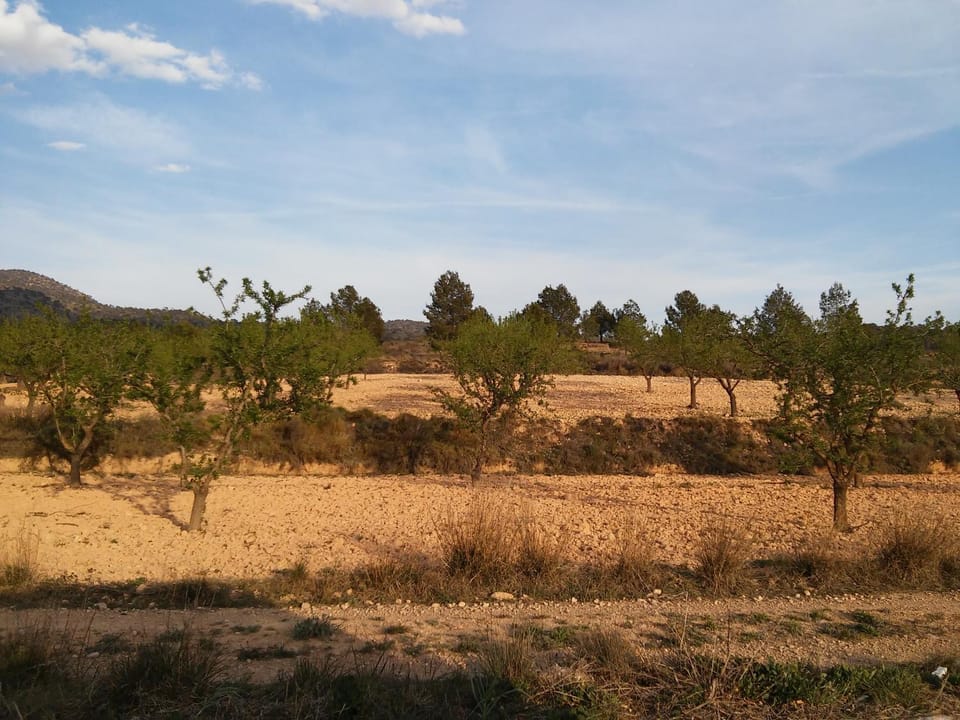 Natural landscape