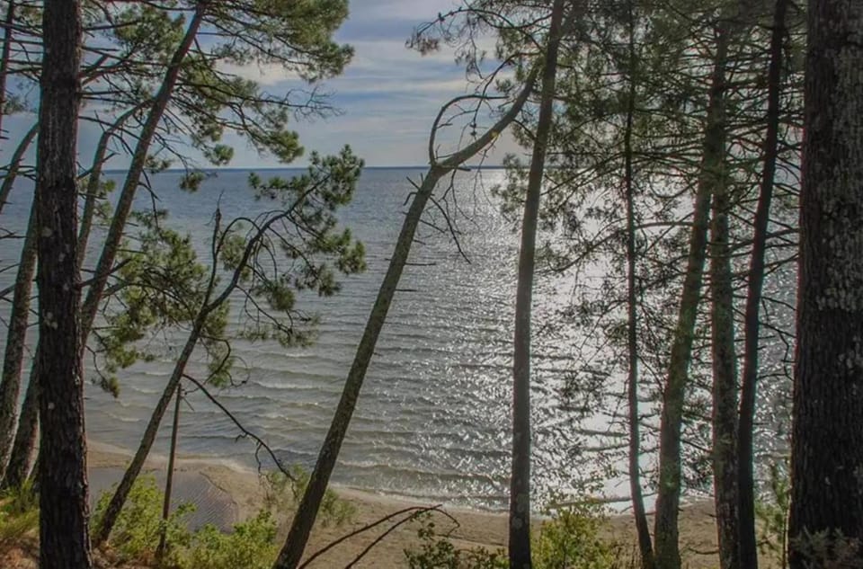 Camping du Lac de Cazaux Campground/ 
RV Resort in Sanguinet