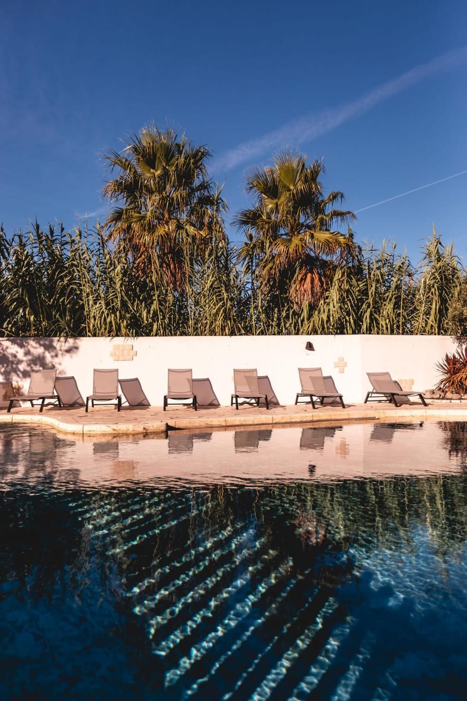Day, Pool view, Swimming pool