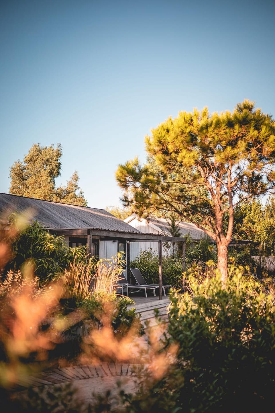 Property building, Spring, Day, Garden, Garden view