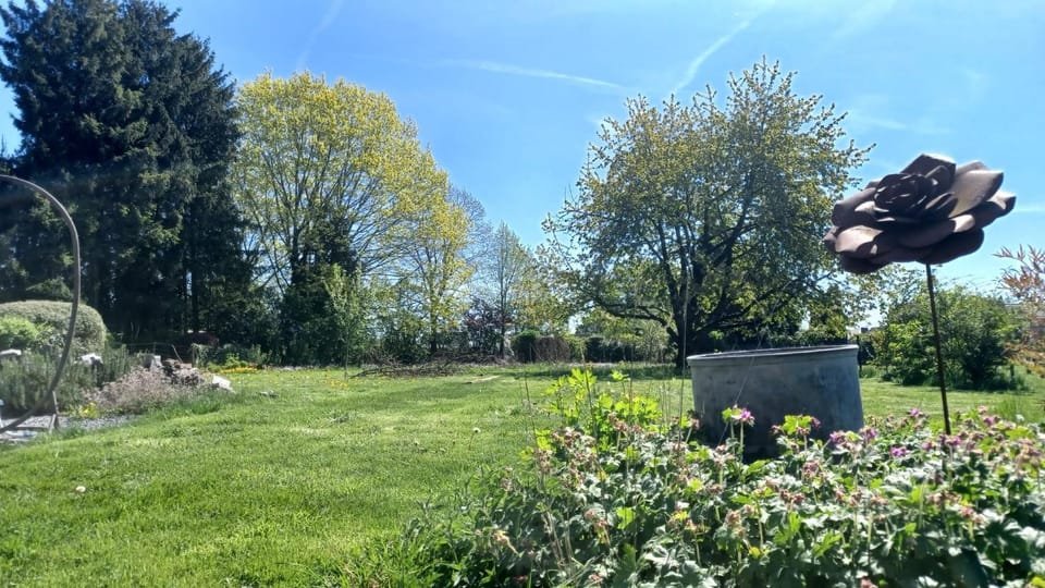 Garden view