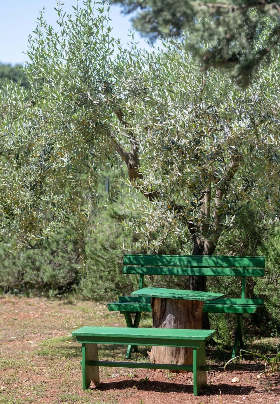 Kuća LUNI - vacation near the beach - Duga Uvala House in Istria County