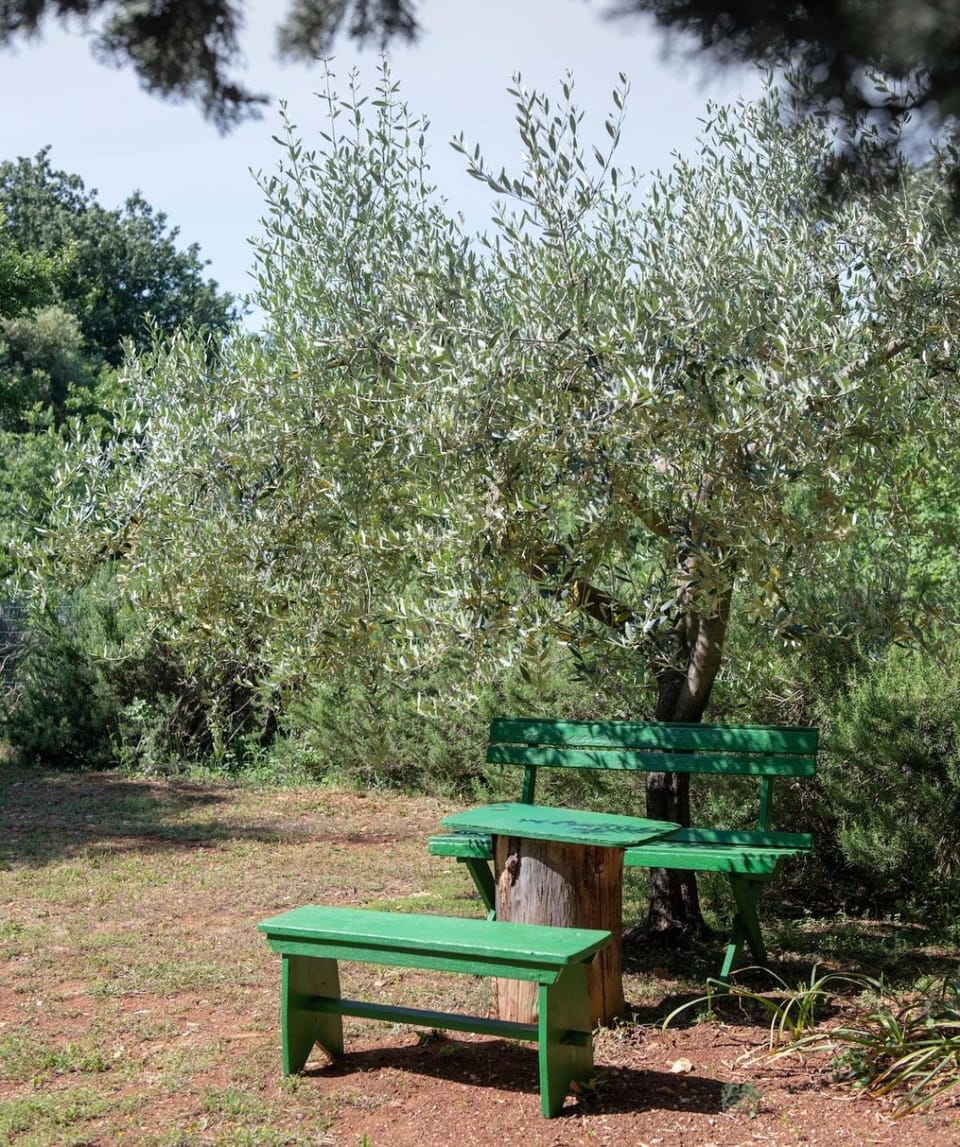 Kuća LUNI - vacation near the beach - Duga Uvala House in Istria County
