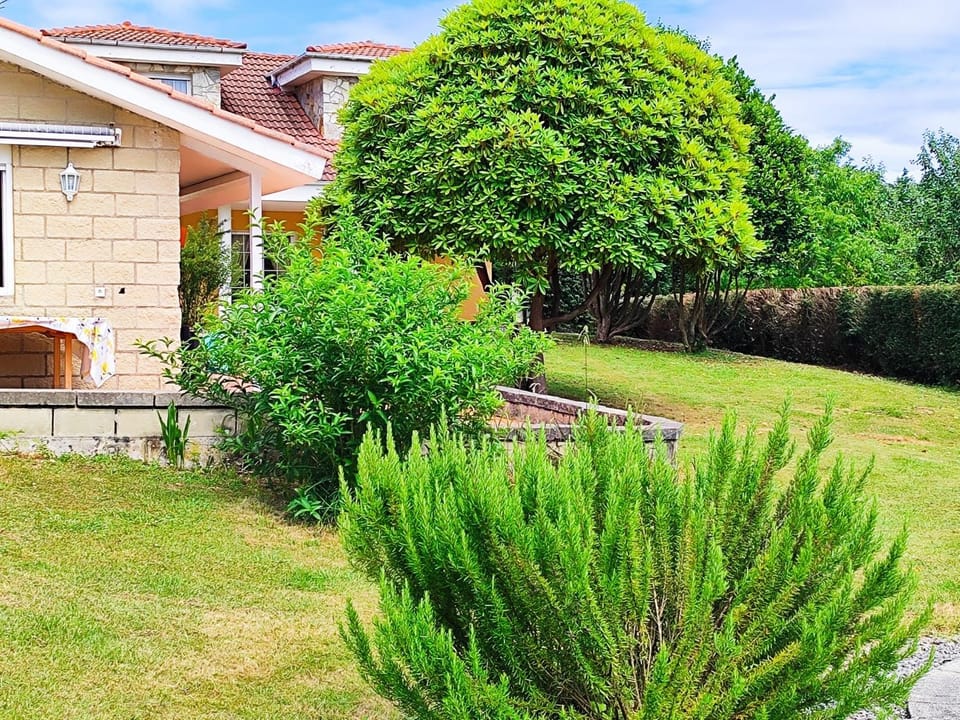 Property building, Spring, Day, Garden, Garden view