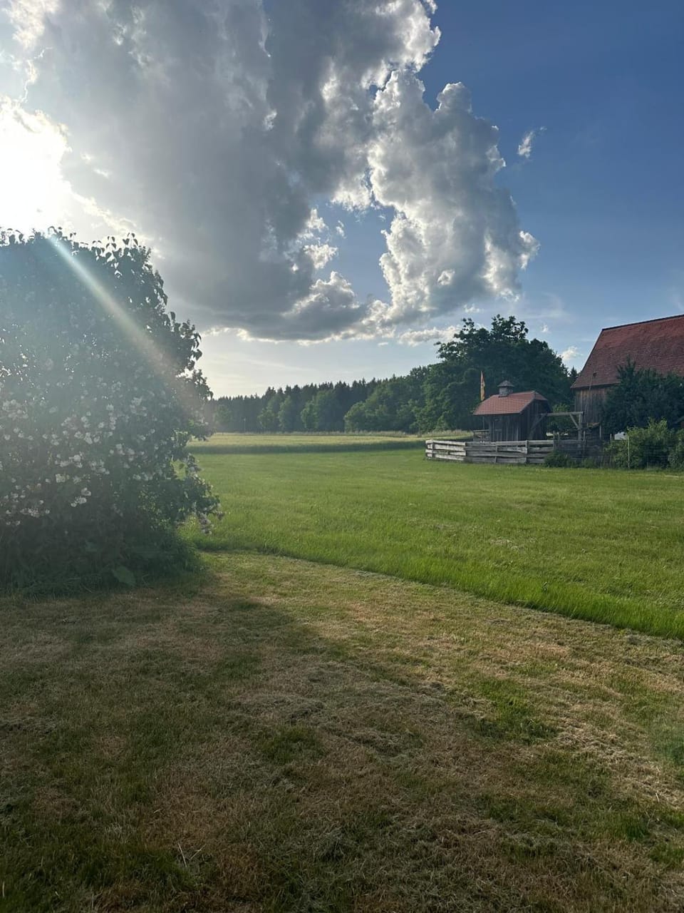 Garden, Garden view